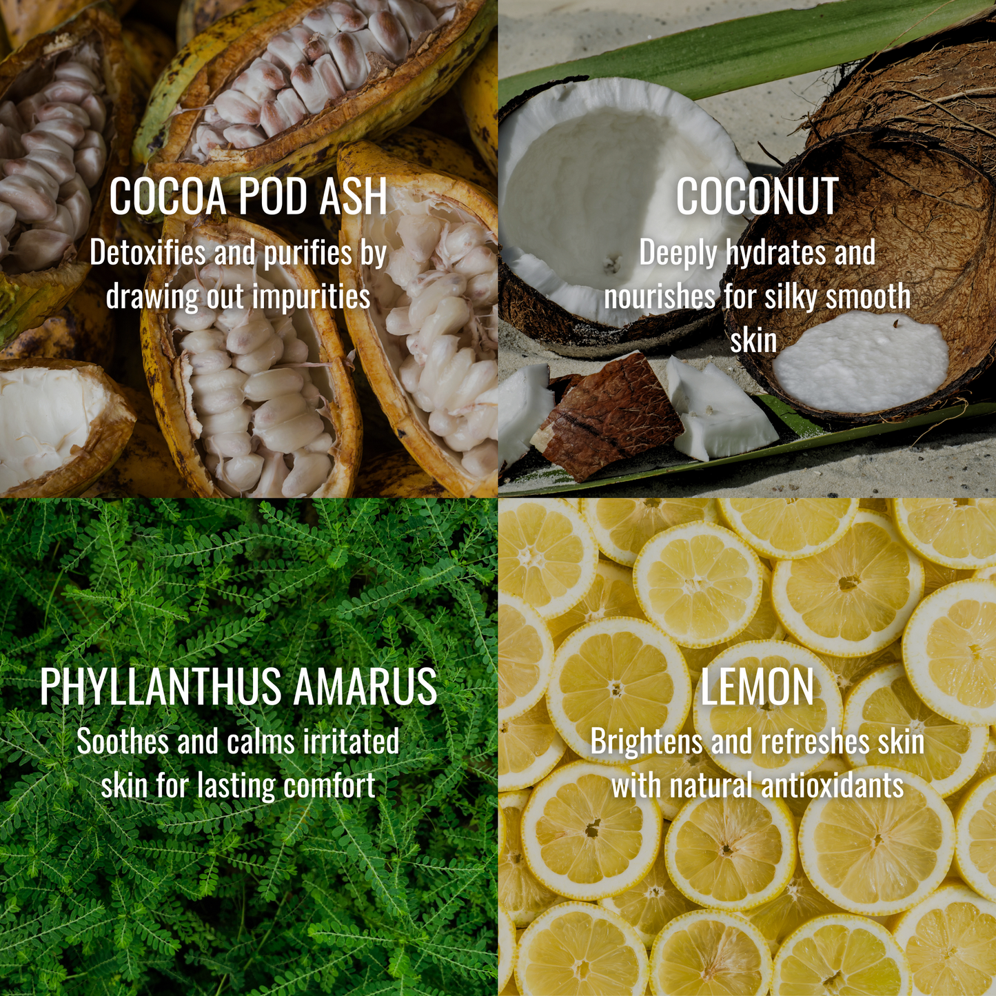 Lemon Body Wash