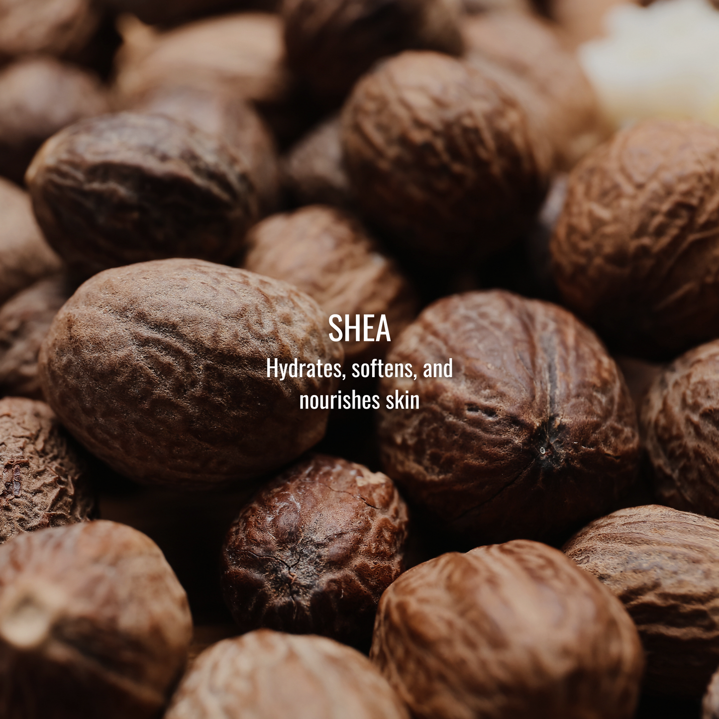 Shea Body Butter