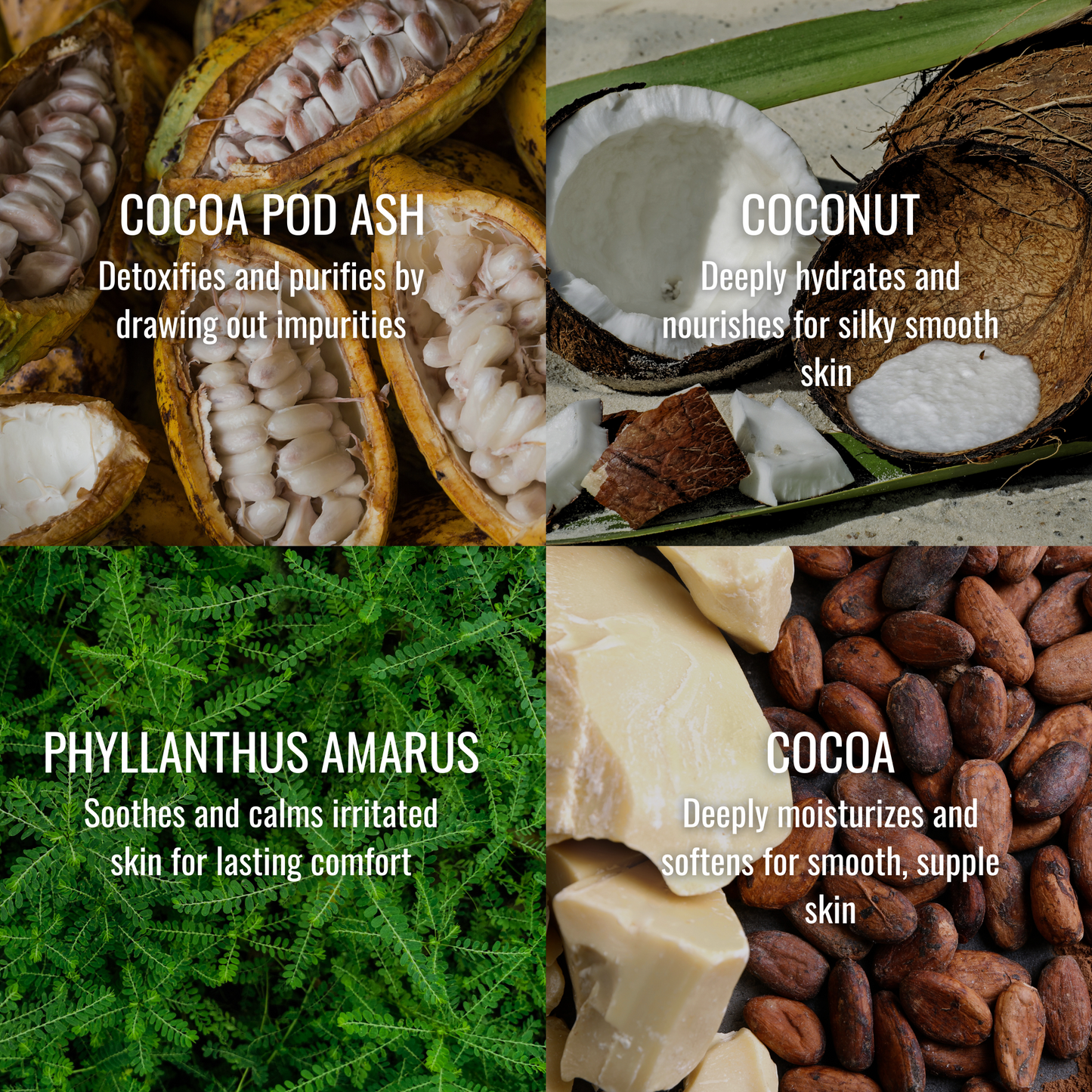 Cocoa Body Wash