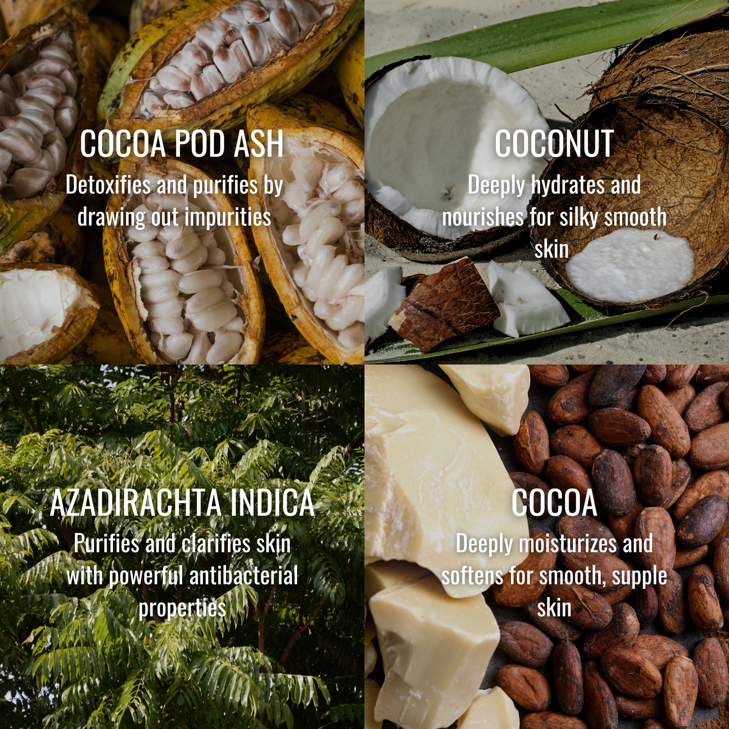 Cocoa Soap Paste