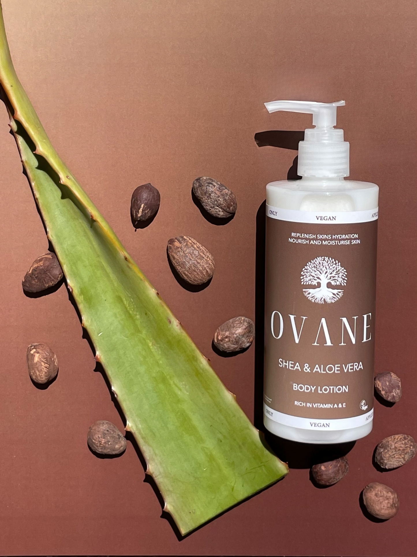 Shea & Aloe Vera Body Lotion